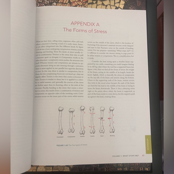 Your Body Your Yoga Book by Bernie Clark - Picture 4 of 6